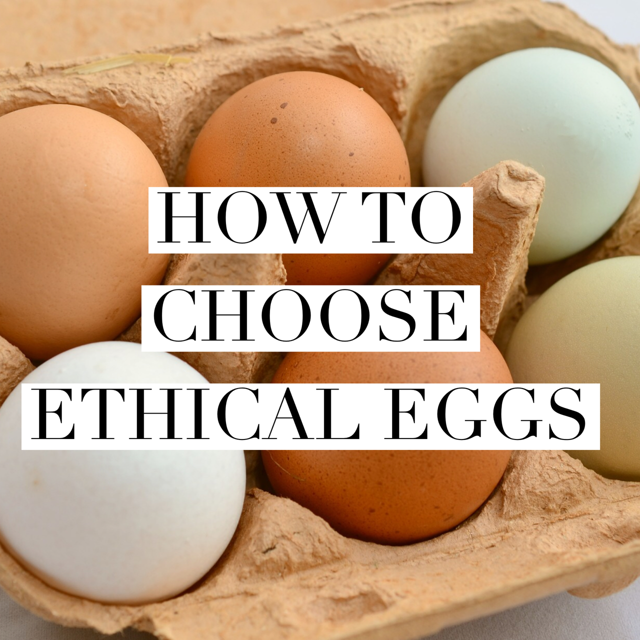 How To Choose Ethical Eggs